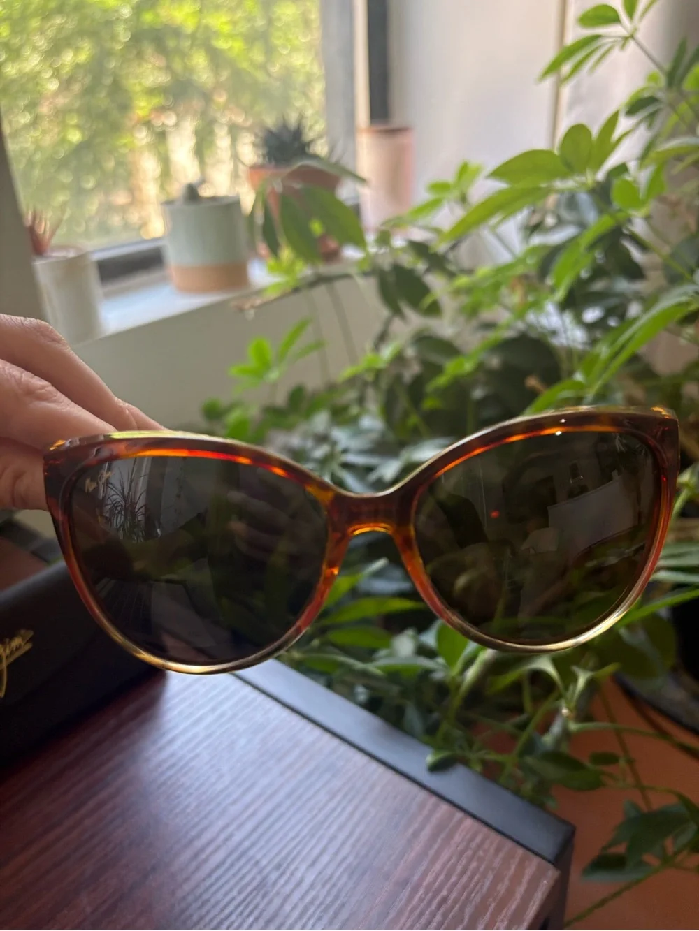 Maui Jim Women's Sunglasses - Tortoiseshell Brown Frame